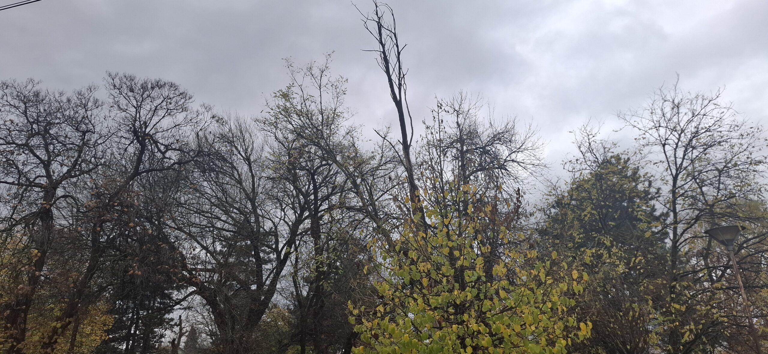 Vreme oblačno, mestimično sa kišom