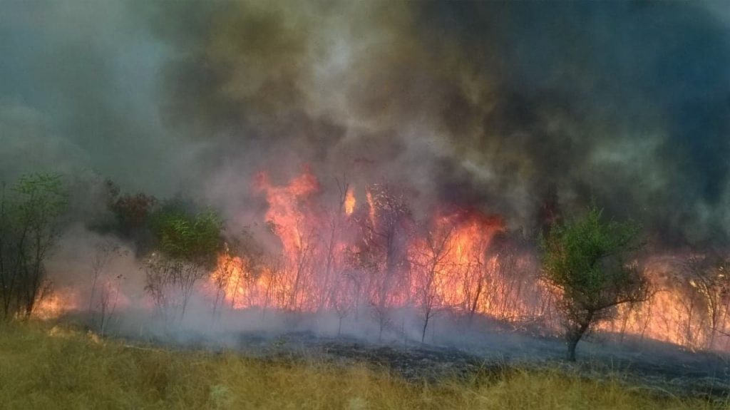 Vatra preti selima Pčinjskog okruga